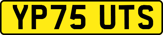 YP75UTS