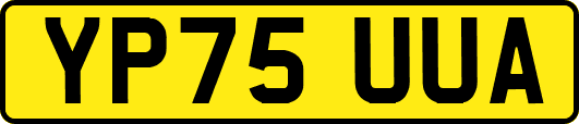 YP75UUA
