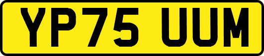 YP75UUM