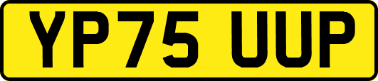YP75UUP