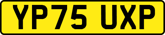 YP75UXP