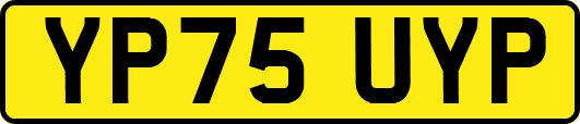 YP75UYP