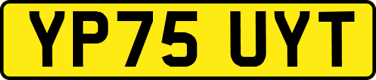 YP75UYT