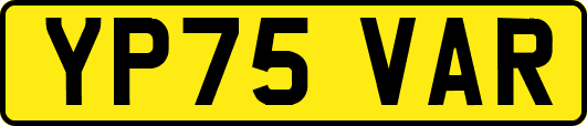 YP75VAR
