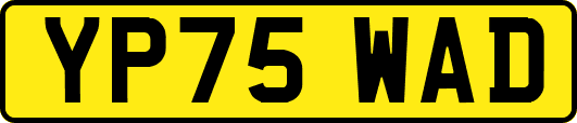 YP75WAD