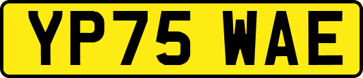 YP75WAE
