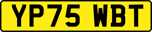 YP75WBT