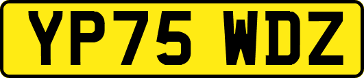 YP75WDZ