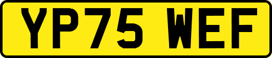 YP75WEF