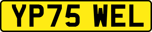 YP75WEL
