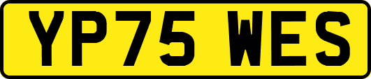 YP75WES