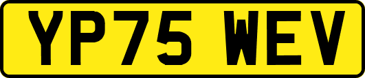 YP75WEV