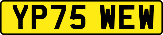 YP75WEW