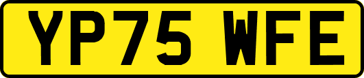 YP75WFE