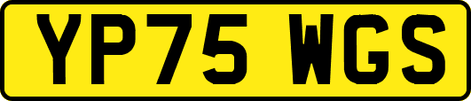 YP75WGS