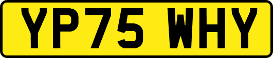 YP75WHY