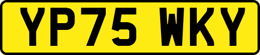 YP75WKY