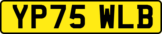 YP75WLB