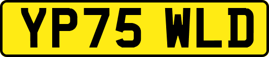 YP75WLD