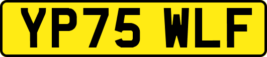 YP75WLF