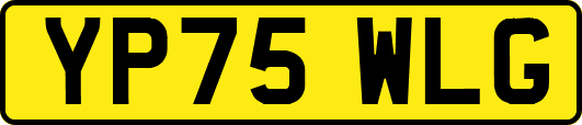 YP75WLG