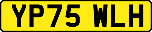 YP75WLH