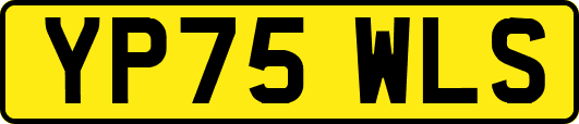YP75WLS