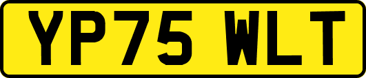 YP75WLT