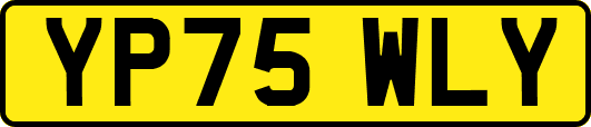 YP75WLY