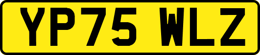 YP75WLZ
