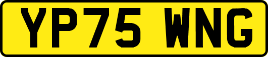 YP75WNG