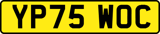 YP75WOC