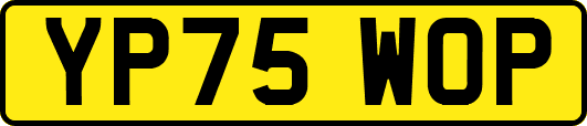 YP75WOP