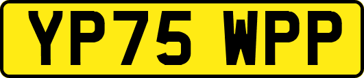 YP75WPP