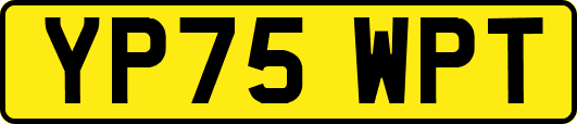 YP75WPT