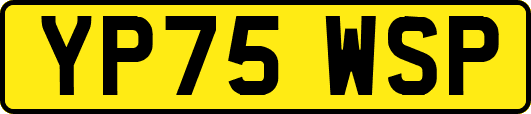 YP75WSP