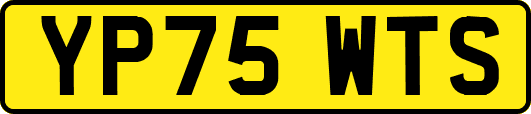 YP75WTS