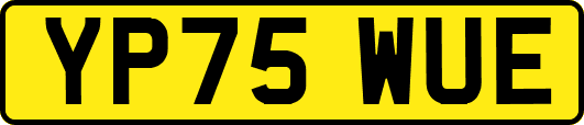 YP75WUE