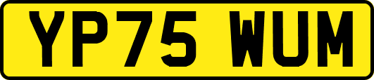 YP75WUM