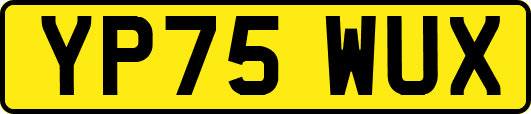 YP75WUX