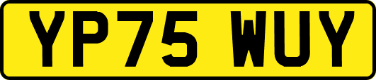 YP75WUY