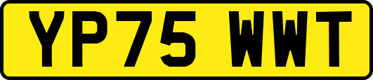 YP75WWT