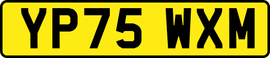 YP75WXM