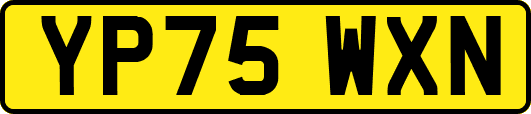 YP75WXN