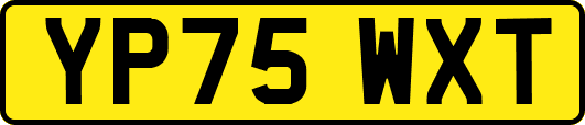 YP75WXT