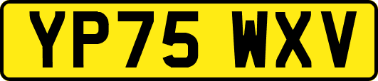 YP75WXV