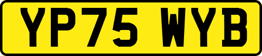 YP75WYB
