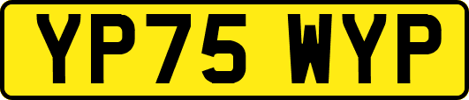 YP75WYP