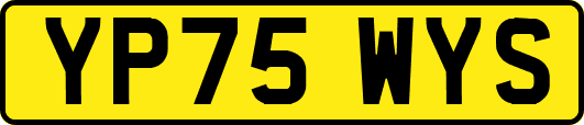 YP75WYS