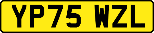 YP75WZL